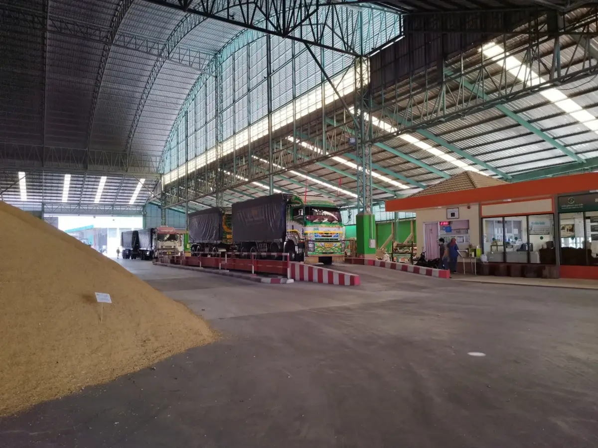 Milling floor with bulk rice, Thailand
