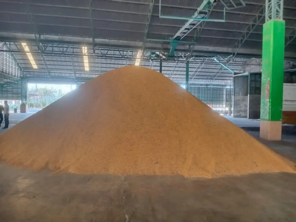 Bulk rice stored in a warehouse before milling